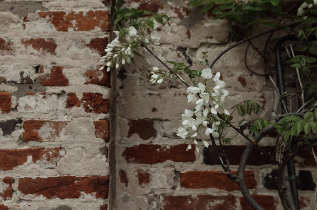 5 reasons why you should have your wedding at Hazel Gap Barn from a photographer’s perspective, photo 58 by Alexandria French Photography